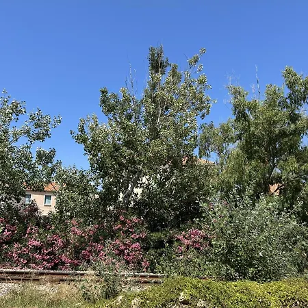 Residences Santa Vittoria *